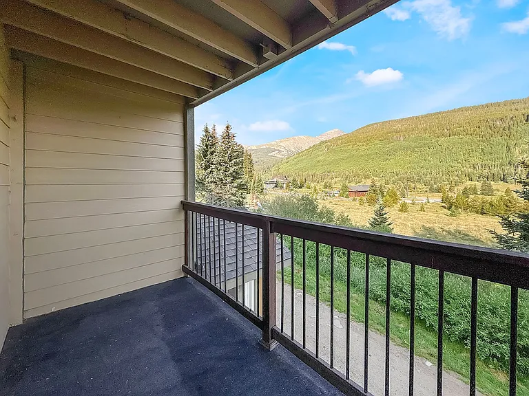 107 Peaks View Ct #324 — Photo 21