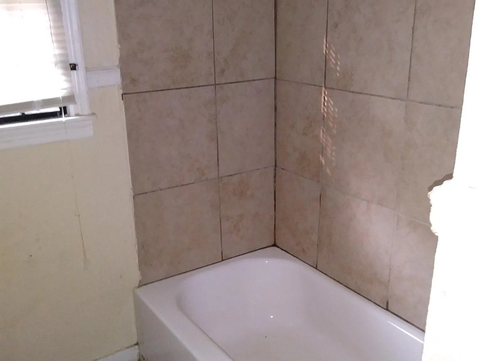 3 bed, 1451 sqft, $1,000 — Photo 4