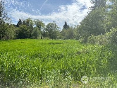 0 XXXX Delameter Road, Castle Rock, WA, 98611
