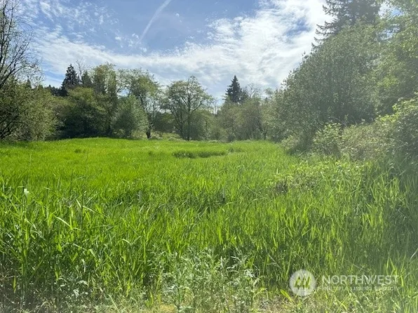 0 XXXX Delameter Road, Castle Rock, WA 98611