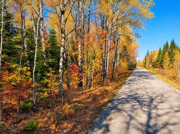 PARCEL Township Road C #B, Floodwood, MN 55736