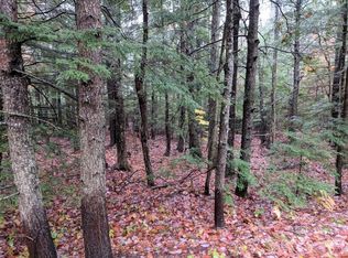 Map 21 Lot Bragdon Rd, Freeport, ME 04032
