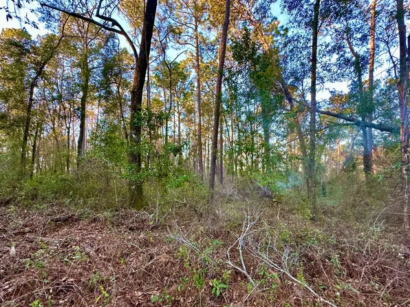 0 NE Inkwood Trl, Lee, FL 32059