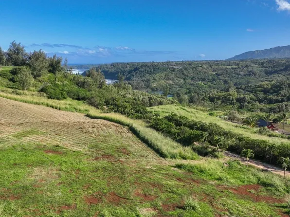 Makanaano Pl Lot 15, Kilauea, HI 96754