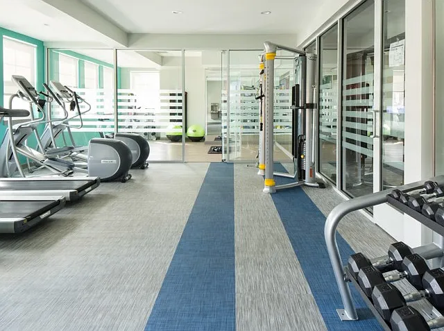 Avia Lowry's fitness center equipped with exercise machines, weights and a television.