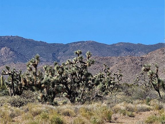 3rd image of 121-10-018 Alamo Road