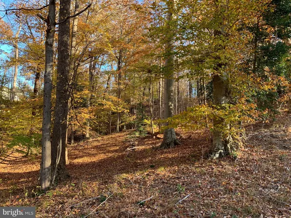 Plantation Dr, Montross, VA 22520