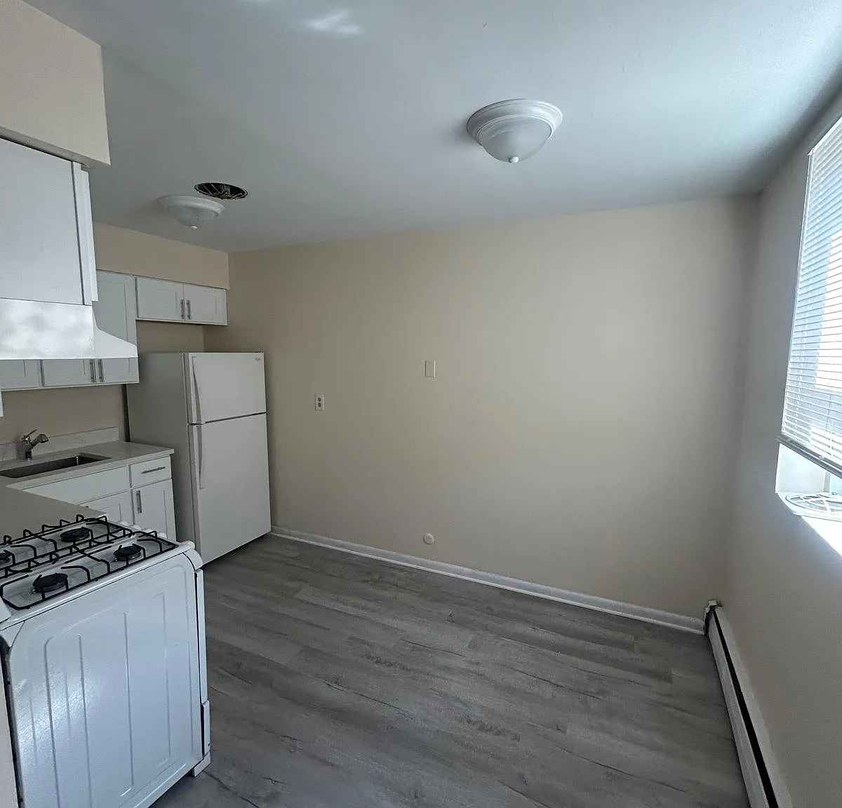 1 bed, 1000 sqft, $1,250 — Photo 3