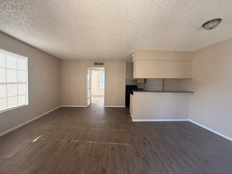 Natural lighting from windows in living/dining/kitchen.