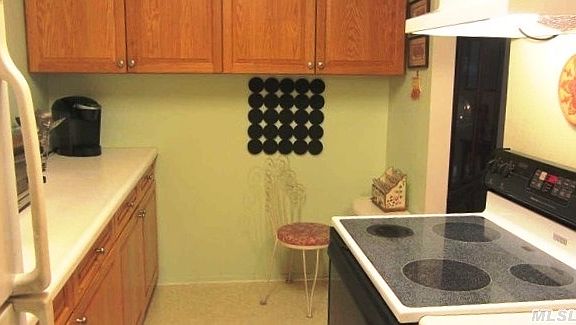 5th image of 90 S Park Ave APT C12