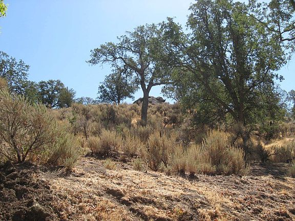 Natural Park site behind home !