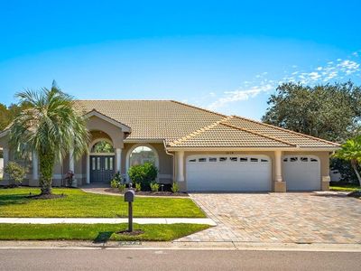 2679 Saddlewood Ln, Palm Harbor, FL, 34685