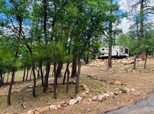 2441 Woodland Dr #551, Happy Jack, AZ 86024