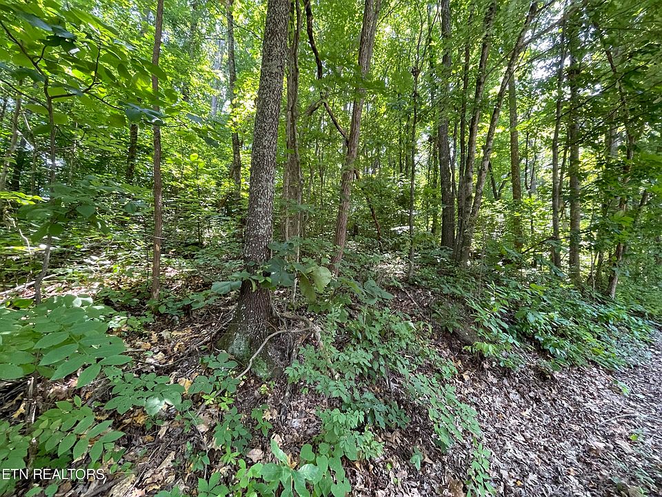 1st image of 3316 Gumstand Dr