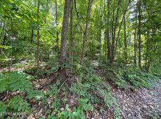 3316 Gumstand Dr, Powell, TN 37849