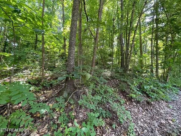 3316 Gumstand Dr, Powell, TN 37849