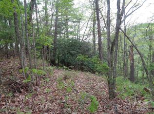 0 Promiseland Rd, Canton, NC 28716