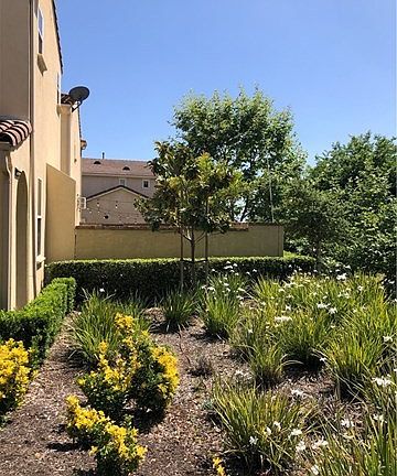 3rd image of 923 N Woodbine Way