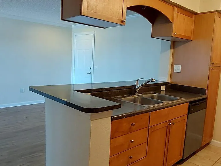 2500 Winding Creek Blvd #E201 — Photo 42