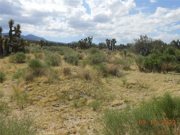213 Vac Fort Tejon Drt 213 Suite 5, Llano, CA 93544