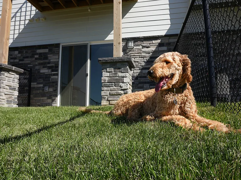 Private Fenced Yards in Select Homes