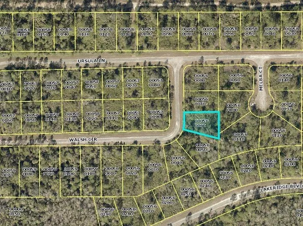 367 Walsh Cir, Lehigh Acres, FL 33972