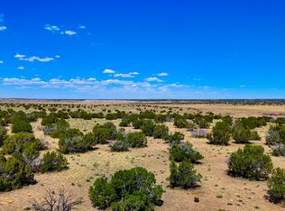 6655 N, Saint Johns, AZ 85936