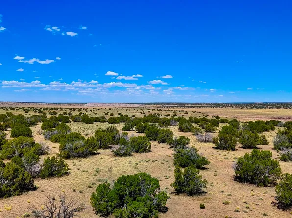 6655 N, Saint Johns, AZ 85936