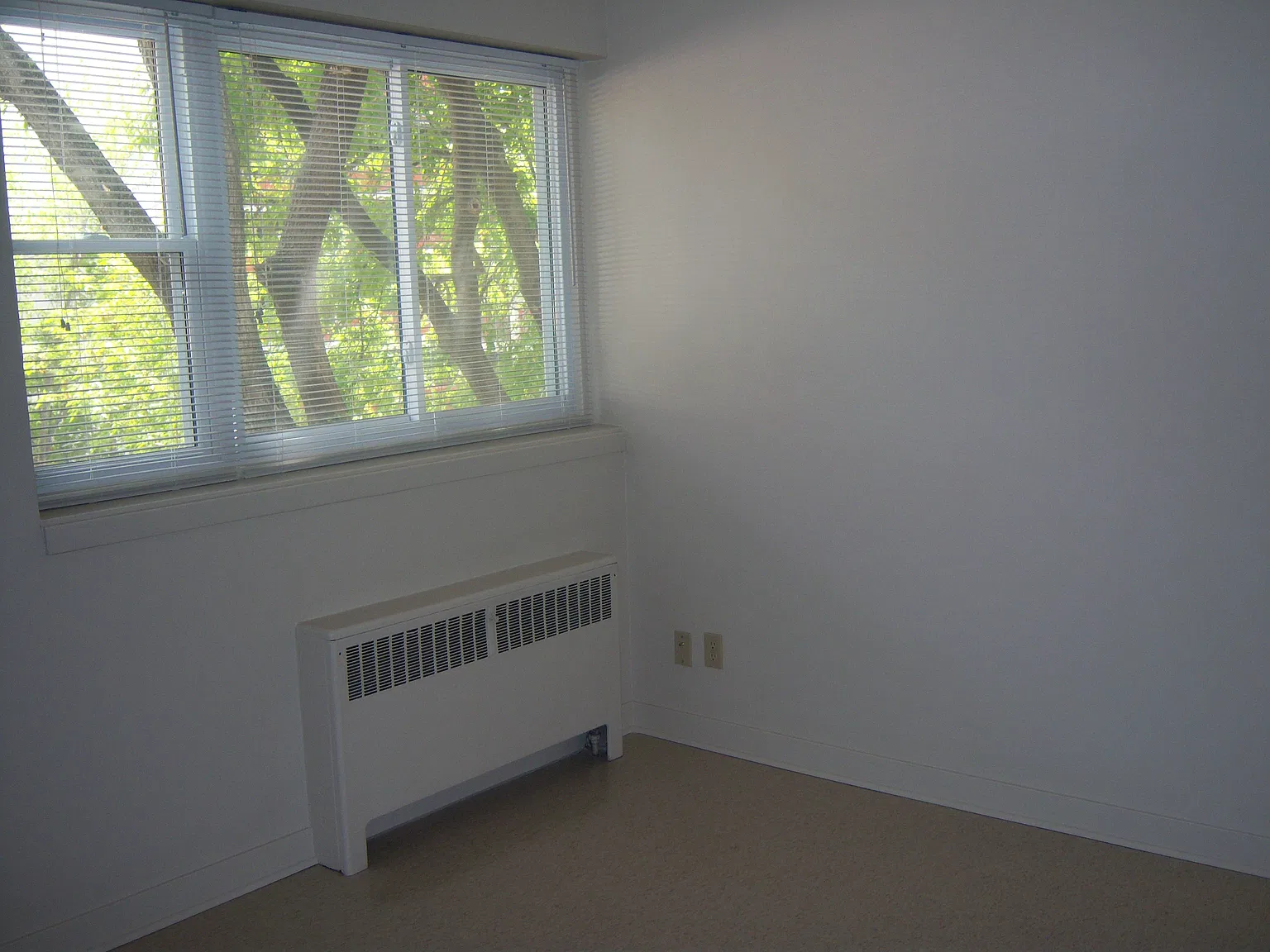 1 bed, 600 sqft, $950 — Photo 3