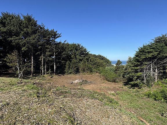 5th image of Ophir Rd
