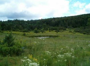 178 Lutheranville Rd, East Worcester, NY 12064