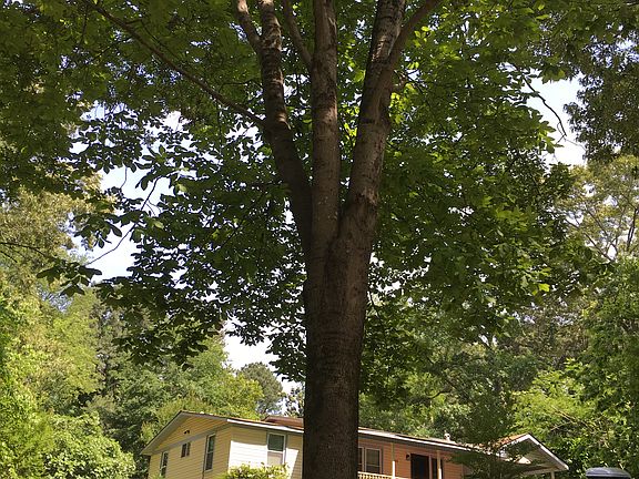 3rd image of 1313 39th Ave NE