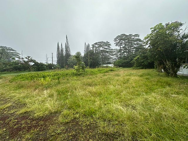2nd image of 15-1966 29th Ave