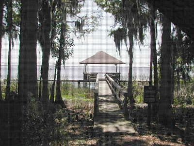 Home for Sale in Leesburg, FL $29,900