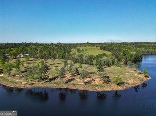 1009 Walter Wells Rd, Buena Vista, GA 31803