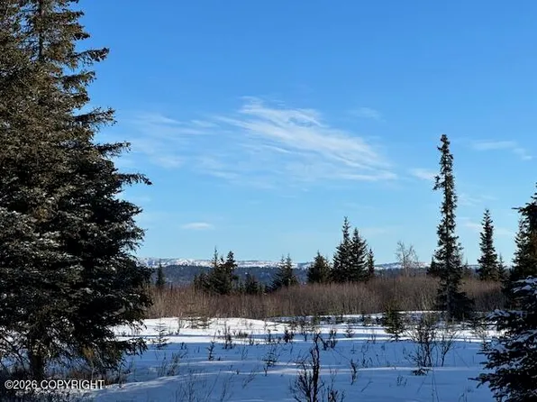 L58 Lowell St, Ninilchik, AK 99639