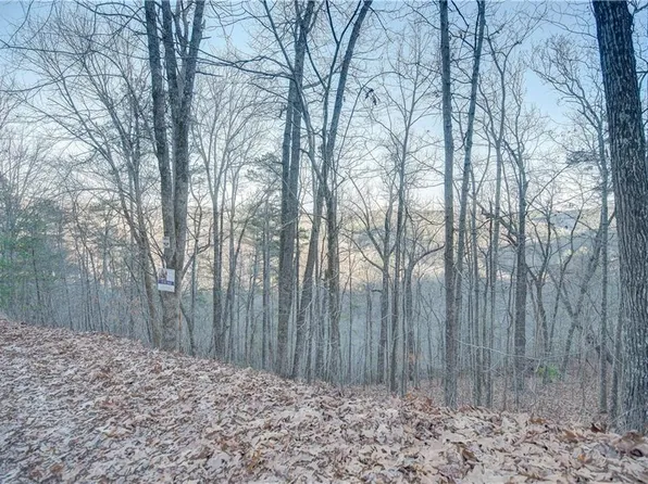 804 Lonsdale Ln Lot 804, Ranger, GA 30734