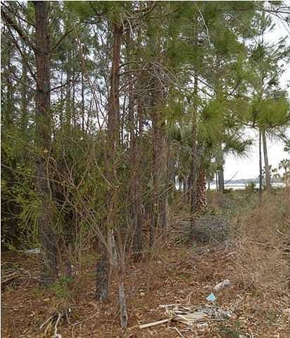 2nd image of 2773 Oak Manor Dr