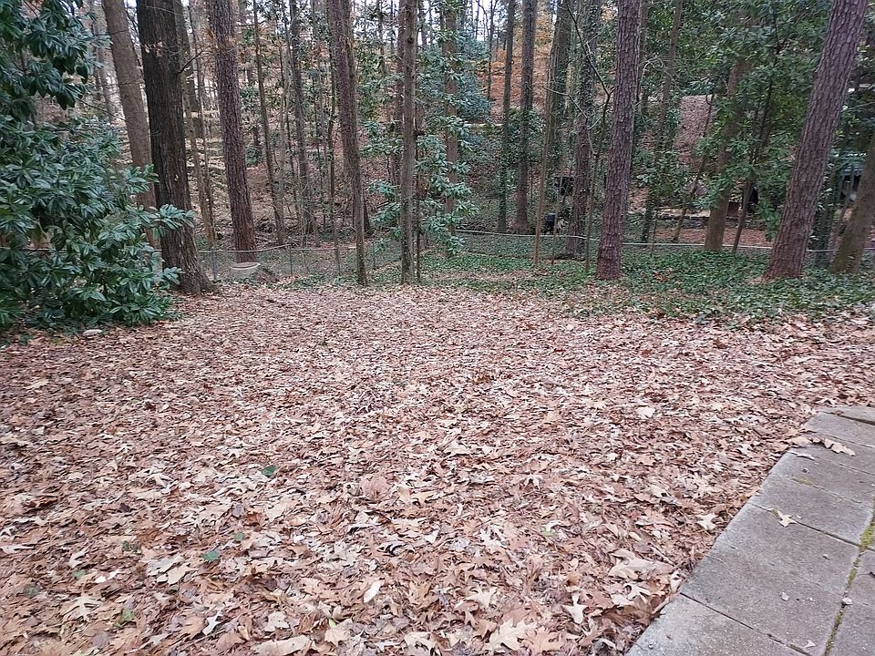 Huge yard.