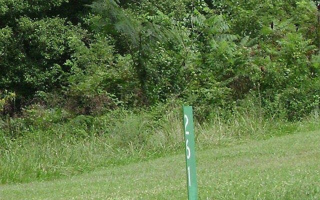 2nd image of Trackrock Gap Rd