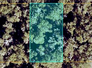 SE 139TH LANE LOT 55, SUMMERFIELD, FL 34491