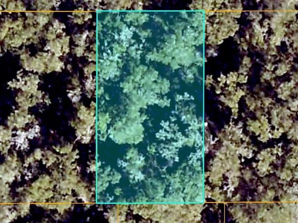 SE 139TH LANE LOT 55, SUMMERFIELD, FL 34491