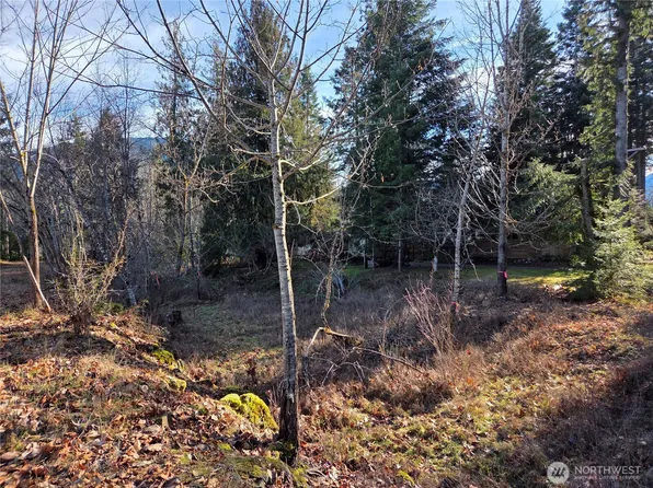 0 Lot 12 Slalom Way, Packwood, WA 98361