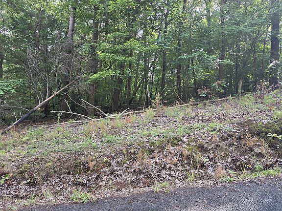 4th image of 0 Dogwood Ln