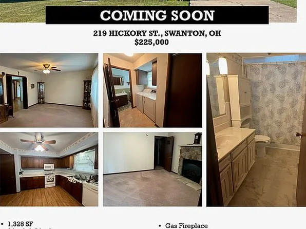 219 Hickory St, Swanton, OH 43558
