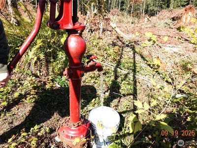 15829 456th Street E, Eatonville, WA, 98328