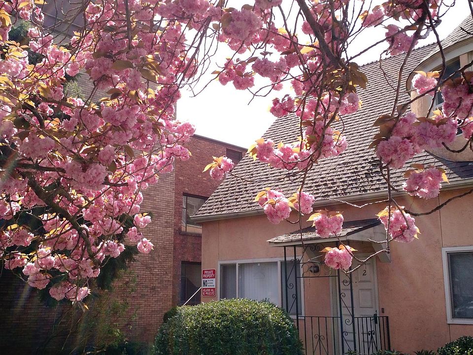 1st image of 209 1st Ave N APT 5