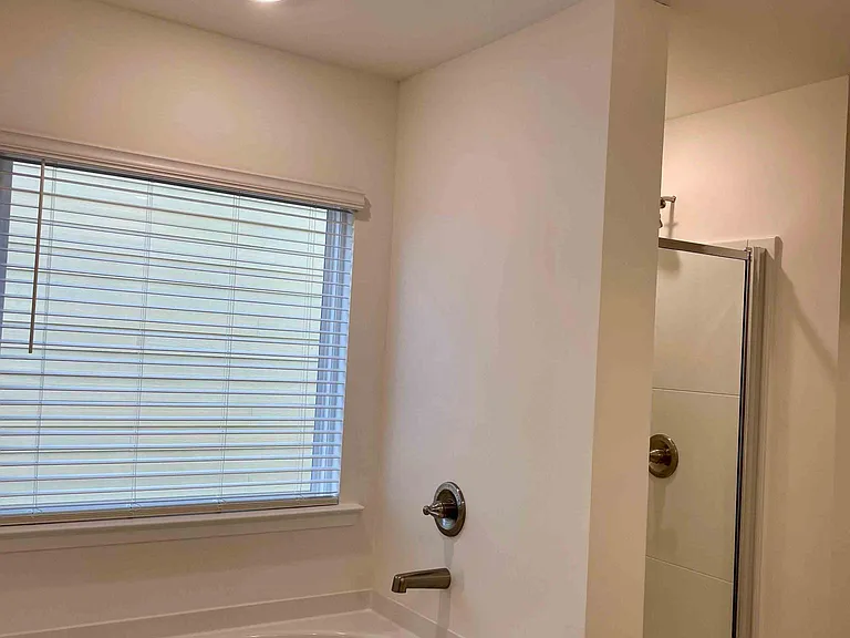 Tub and Shower in Master Bathroom