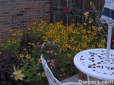Garden area