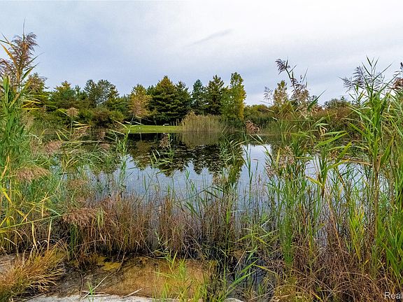 4th image of 5040 Hemingway Lake Rd